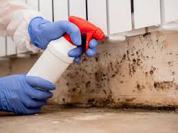 Best Emergency Mold Remediation  in Marina Del Rey, CA